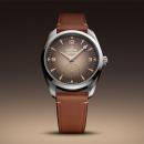 Omega Seamaster Railmaster - Bild 5