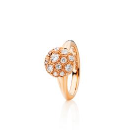 Capolavoro Ring Fiore Magico RI9BRW02584