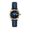 Leder, Gelbgold, Blau